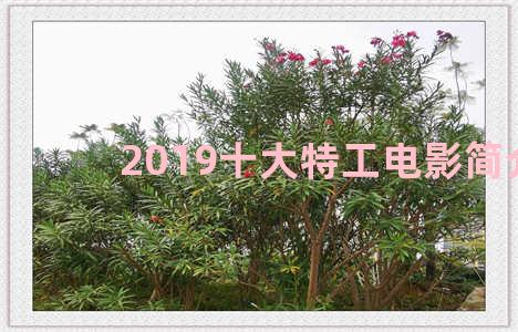 2019十大特工电影简介