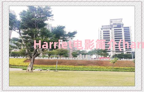 Harriet电影简介(harried)