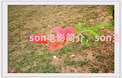 son电影简介，son主演