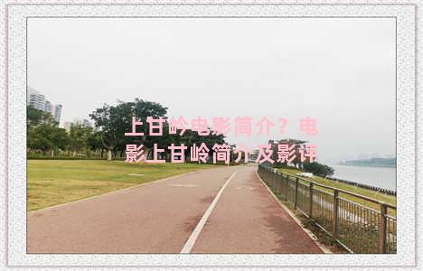 上甘岒电影简介？电影上甘岭简介及影评