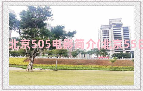 北京505电影简介(北京55日电影评论)