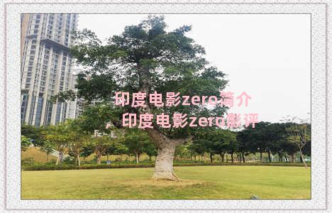 印度电影zero简介，印度电影zero影评