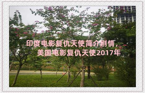 印度电影复仇天使简介剧情，美国电影复仇天使2017年