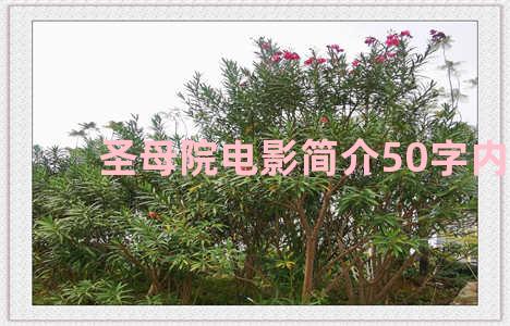 圣母院电影简介50字内容