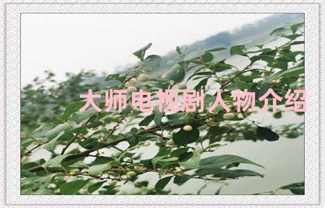 大师电视剧人物介绍