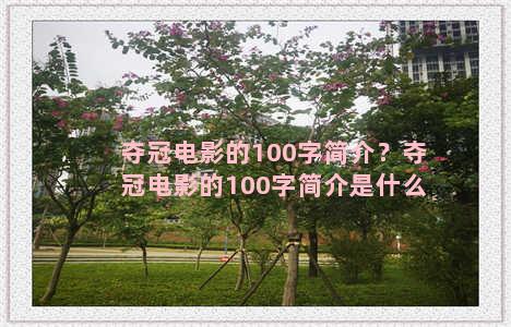 夺冠电影的100字简介？夺冠电影的100字简介是什么