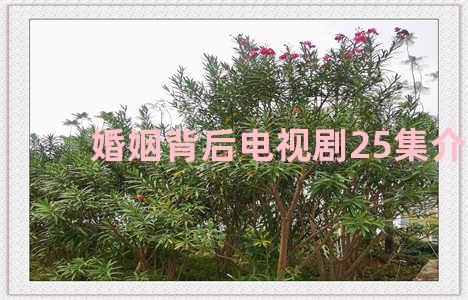 婚姻背后电视剧25集介绍