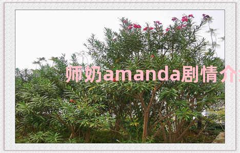 师奶amanda剧情介绍