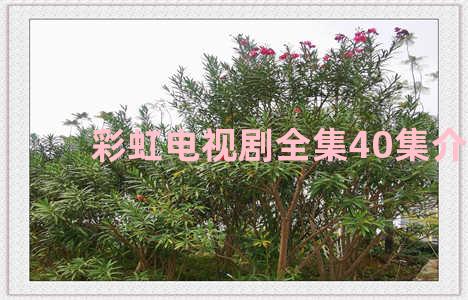 彩虹电视剧全集40集介绍