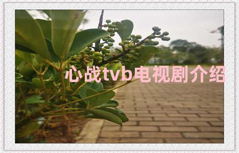 心战tvb电视剧介绍