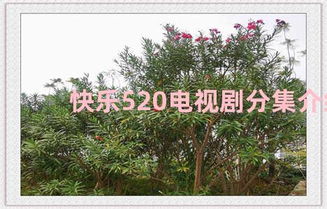 快乐520电视剧分集介绍