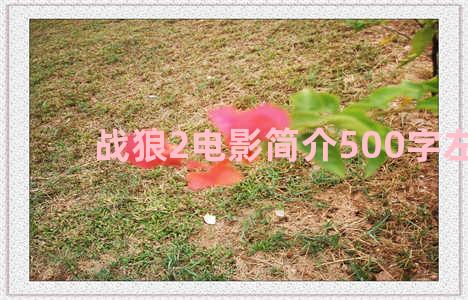 战狼2电影简介500字左右