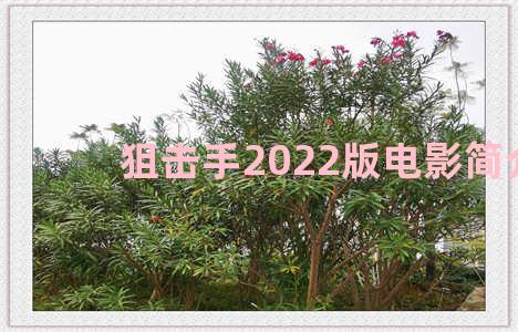 狙击手2022版电影简介