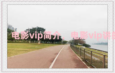 电影vip简介，电影vip讲的是什么