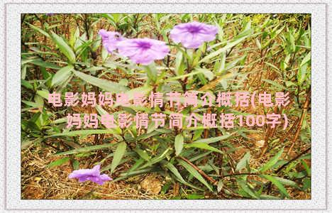 电影妈妈电影情节简介概括(电影妈妈电影情节简介概括100字)