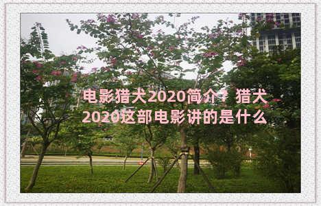 电影猎犬2020简介？猎犬2020这部电影讲的是什么