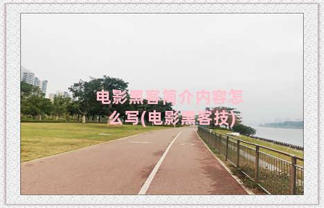 电影黑客简介内容怎么写(电影黑客技)