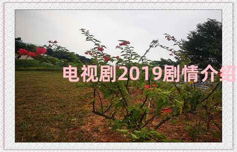 电视剧2019剧情介绍