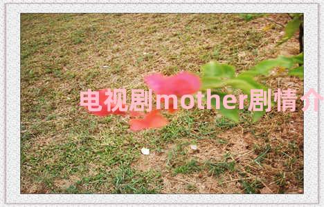 电视剧mother剧情介绍