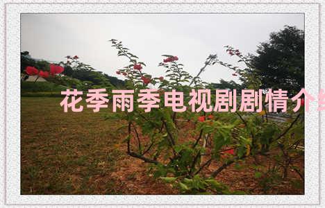 花季雨季电视剧剧情介绍