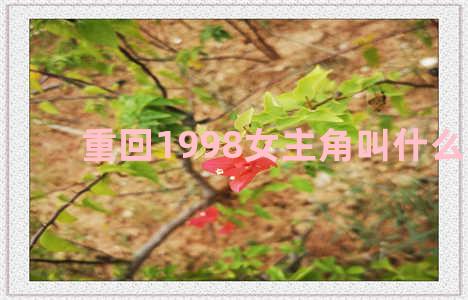 重回1998女主角叫什么名字